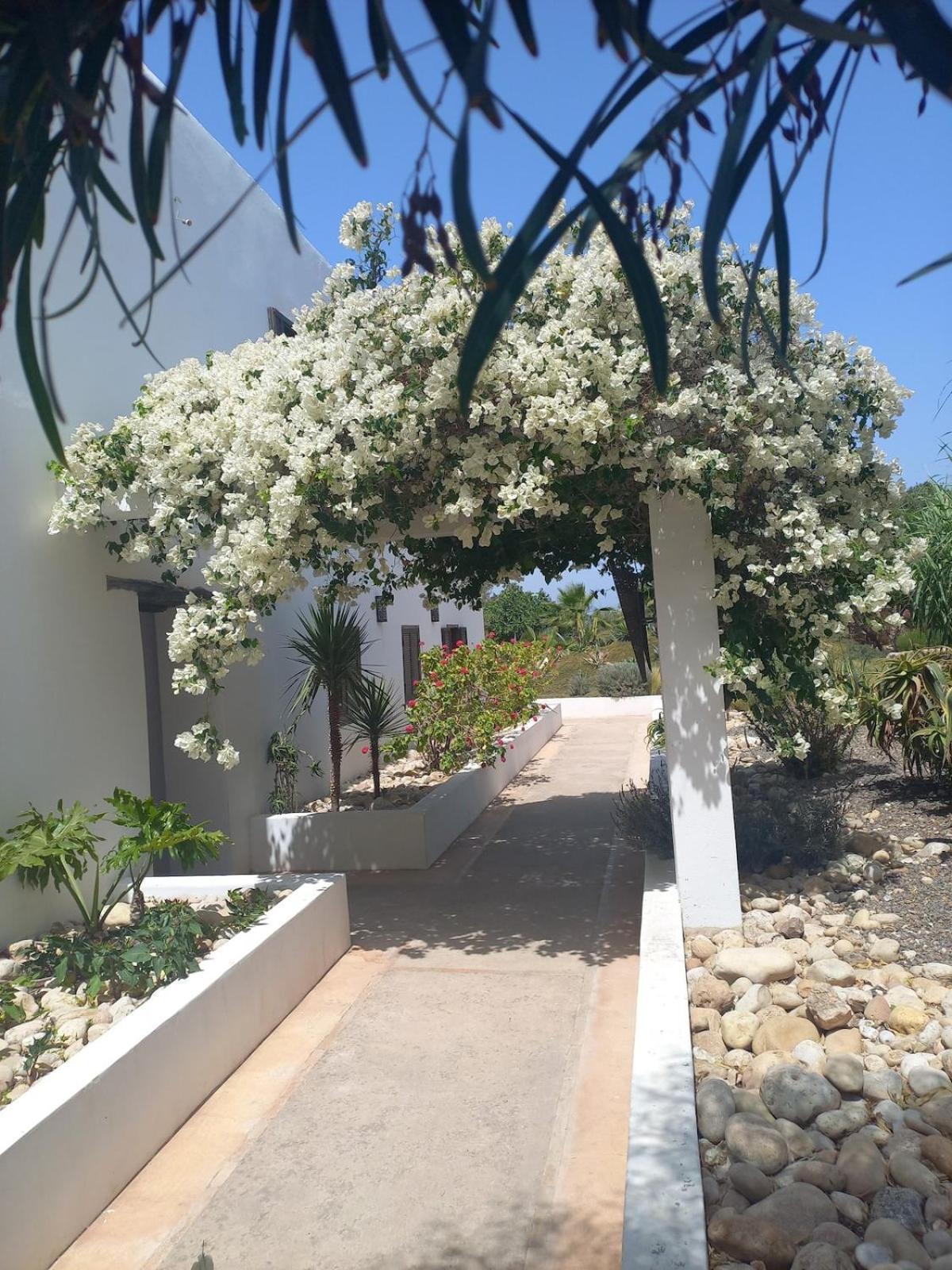 Hotel Les Jardins De Silona, Piscine Chauffee Essaouira Exterior foto