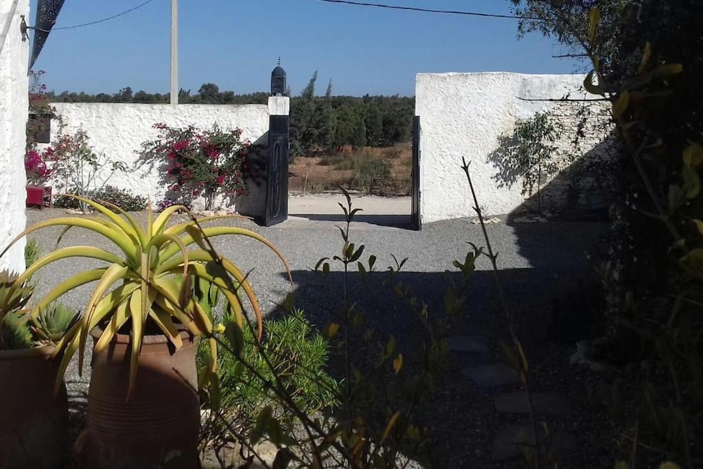 Hotel Les Jardins De Silona, Piscine Chauffee Essaouira Exterior foto